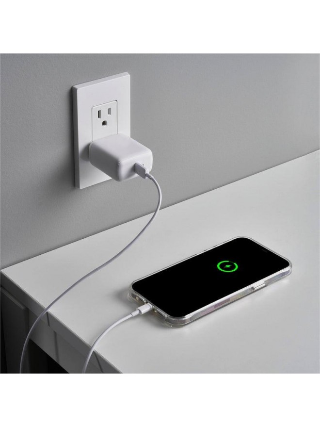 30W USB C Wall Charger  (Single shot is not delivered)